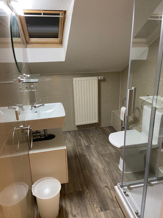 Ferienwohnung Heidelberg Ze-2020-7-Wz エクステリア 写真